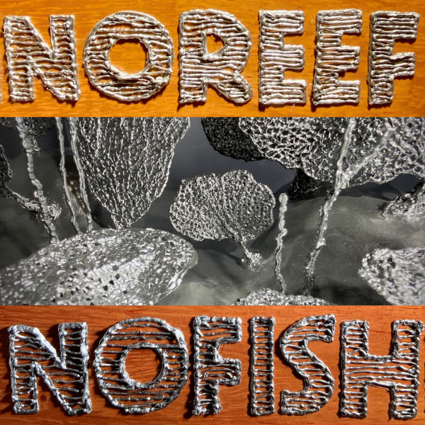 No Reef No Fish Detail B